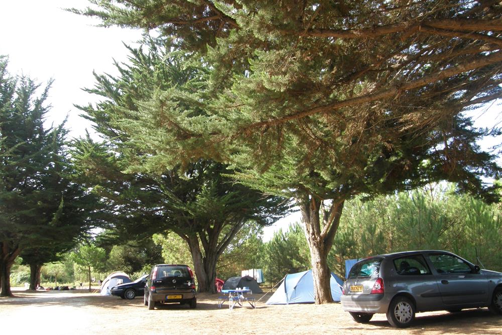 Camping des Dunes - Ile de Ré